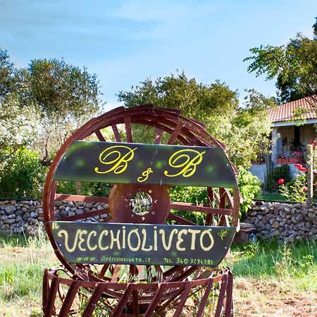 Il Vecchioliveto Di Ornella Panzió Marrùbiu Kültér fotó