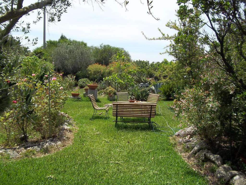 Il Vecchioliveto Di Ornella Panzió Marrùbiu Szoba fotó