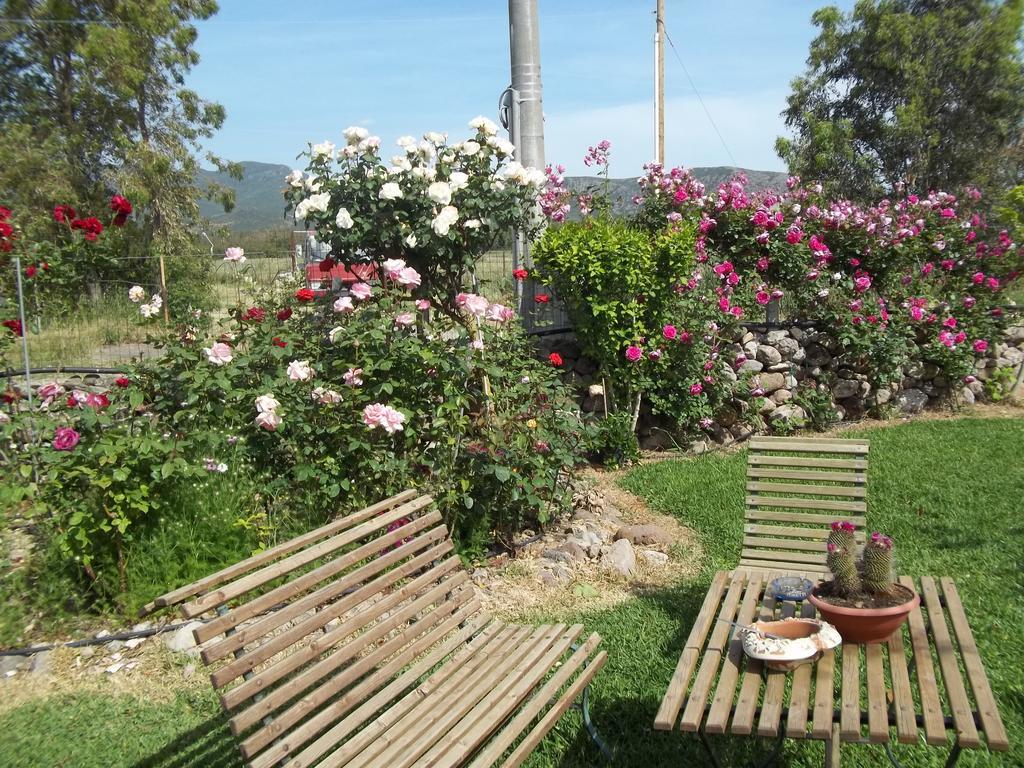 Il Vecchioliveto Di Ornella Panzió Marrùbiu Szoba fotó