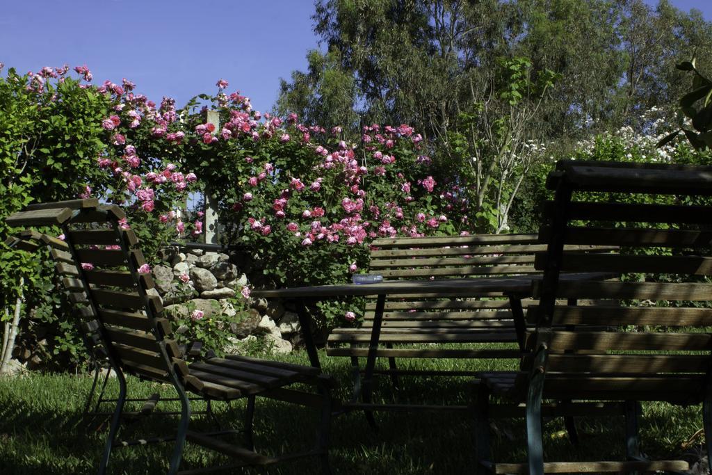 Il Vecchioliveto Di Ornella Panzió Marrùbiu Kültér fotó