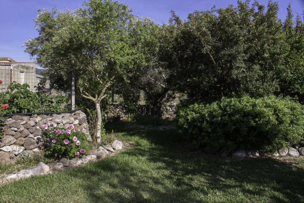 Il Vecchioliveto Di Ornella Panzió Marrùbiu Kültér fotó