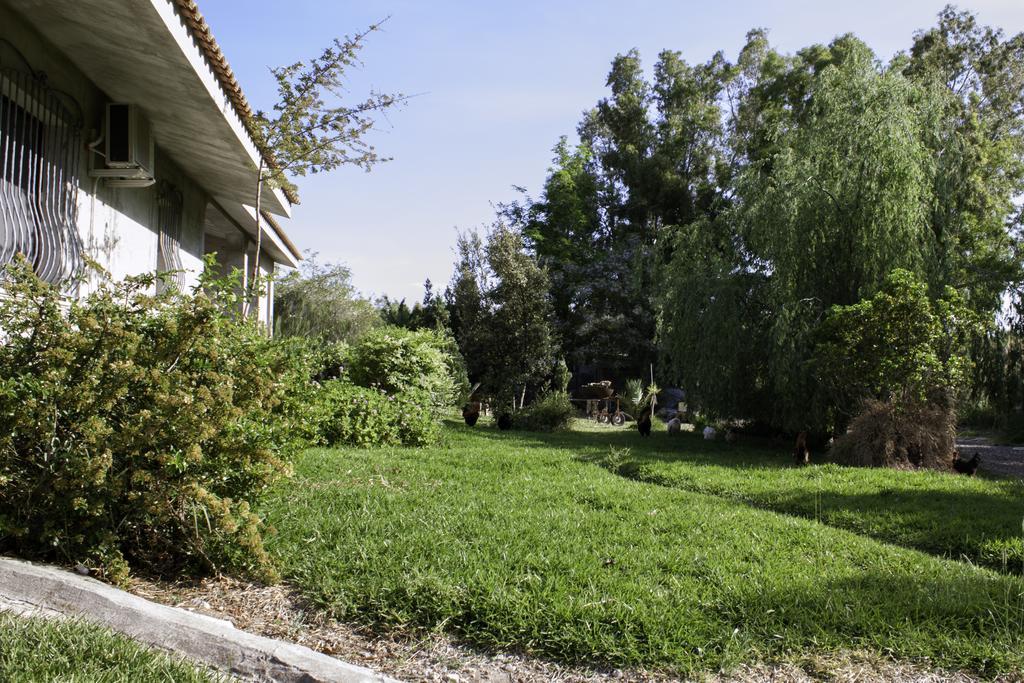 Il Vecchioliveto Di Ornella Panzió Marrùbiu Kültér fotó