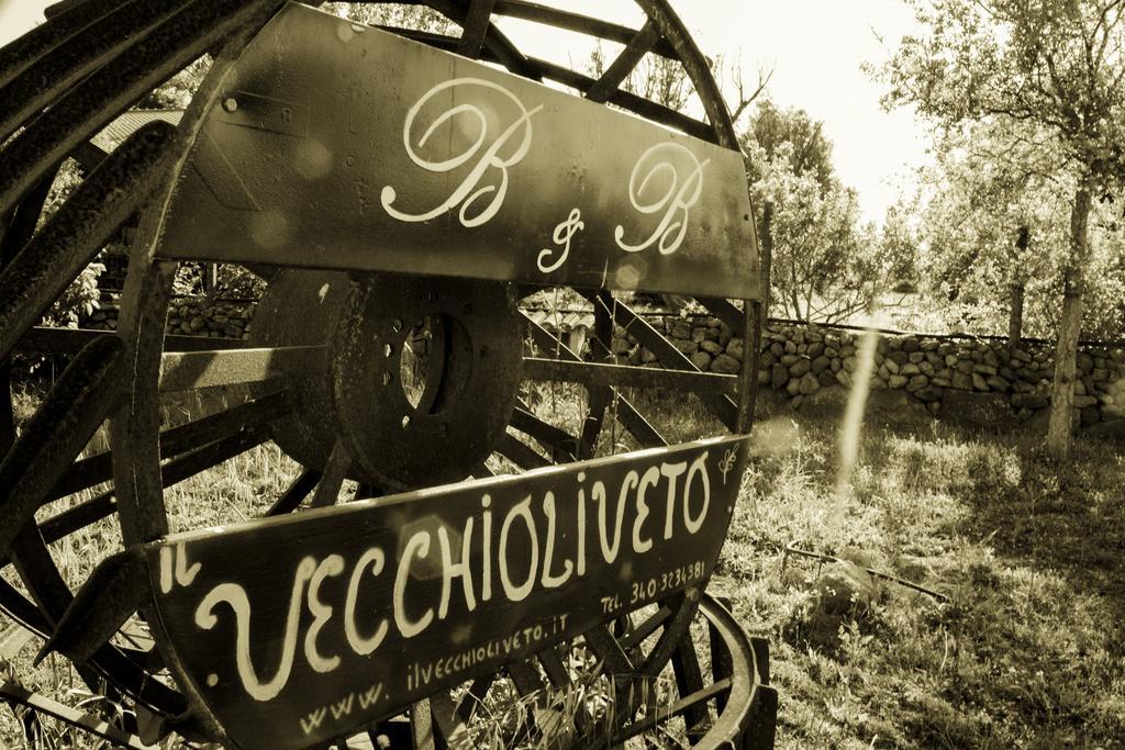 Il Vecchioliveto Di Ornella Panzió Marrùbiu Kültér fotó
