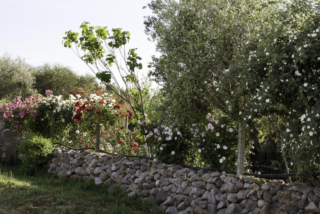 Il Vecchioliveto Di Ornella Panzió Marrùbiu Kültér fotó