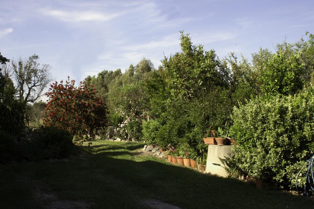 Il Vecchioliveto Di Ornella Panzió Marrùbiu Kültér fotó
