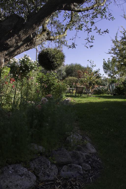 Il Vecchioliveto Di Ornella Panzió Marrùbiu Kültér fotó